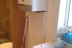 Grundy bathroom cupboard April 16 (2)