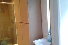Grundy bathroom cupboard April 16 (5)