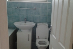 Rayleigh bathroom 7-17 (1)