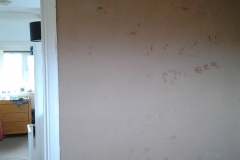 Rayleigh bathroom 7-17 (10)