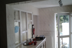 Edwards kitchen 8-17 (7)